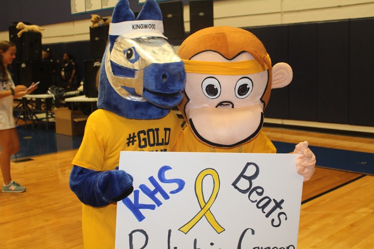 Photo Cred: Braden Hopkins; KHS Mascot and Addis Faith Mascot at our Go Gold Pep Rally
