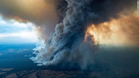Australia Wildfires: What is causing them and What does it mean for Australia?