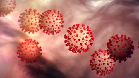 COVID-19 Breakdown: What You Should Know?