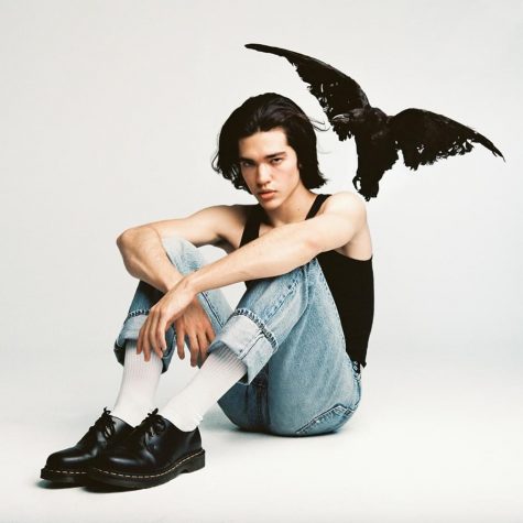 Conan Gray's New Album - Kid Krow