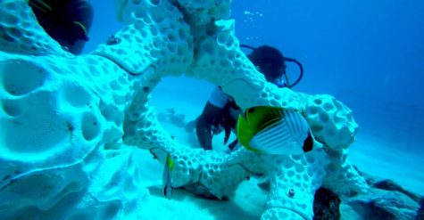 3-D Printed Coral Reefs – Mustang Monthly