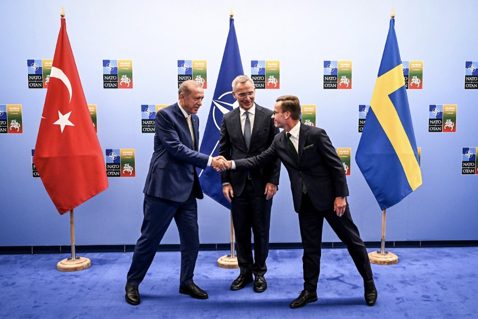 The leaders of Sweden and Turkey shake hands at the Vilnius Summit. 

